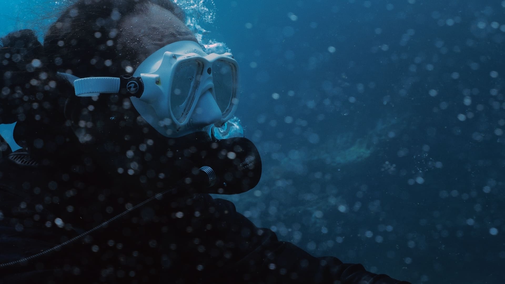 Plongeur équipé d’un masque et d’un détendeur, sous l’eau, entouré de bulles